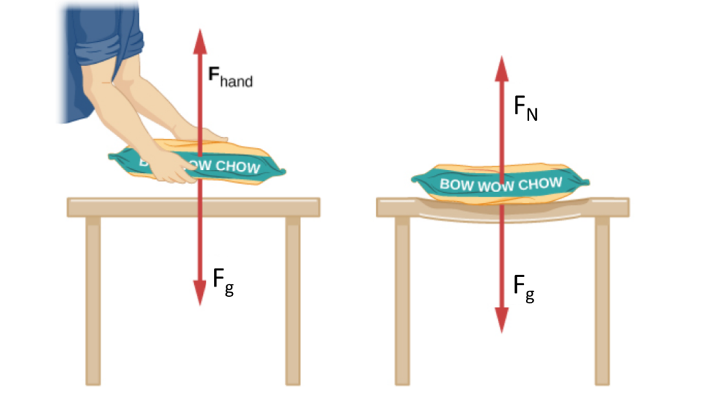 Normal Force (microscopic level)
