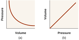 Pressure Volume Law